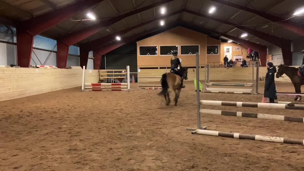 @Hästkonto 💓