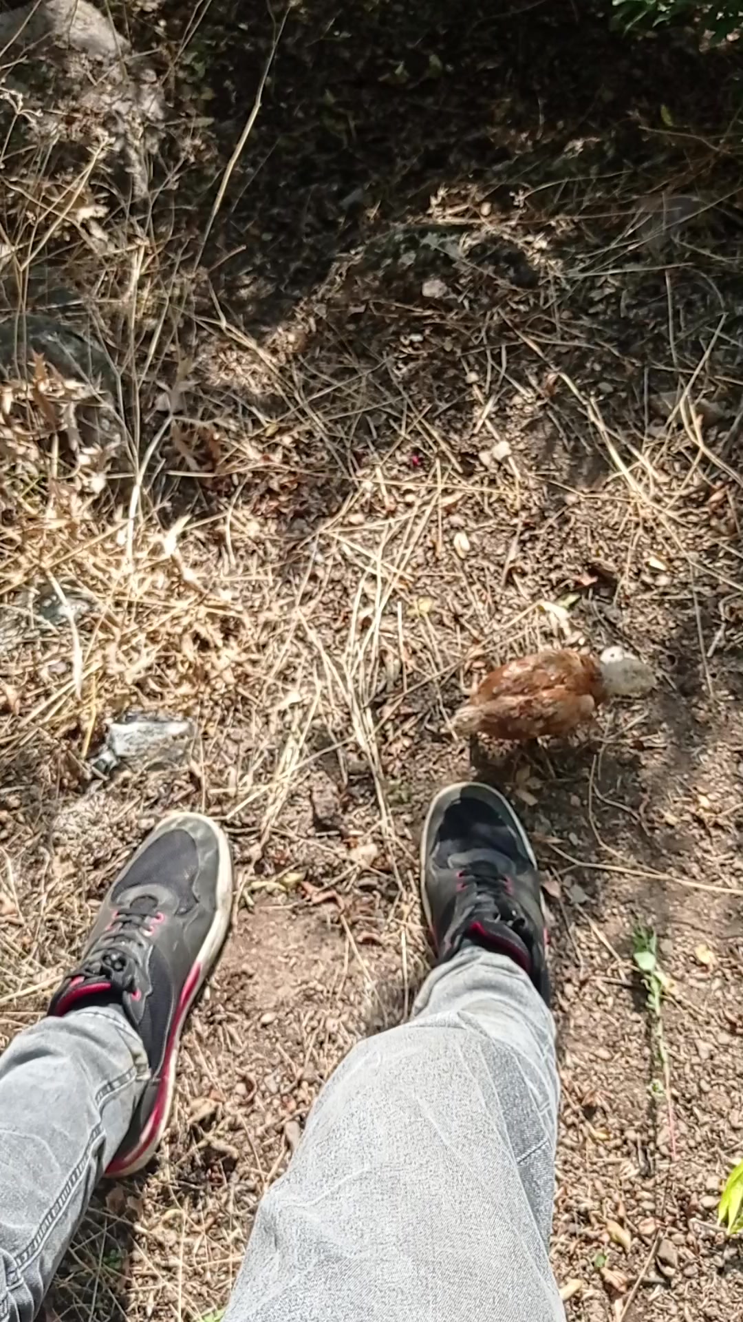 @BiyoMühendis