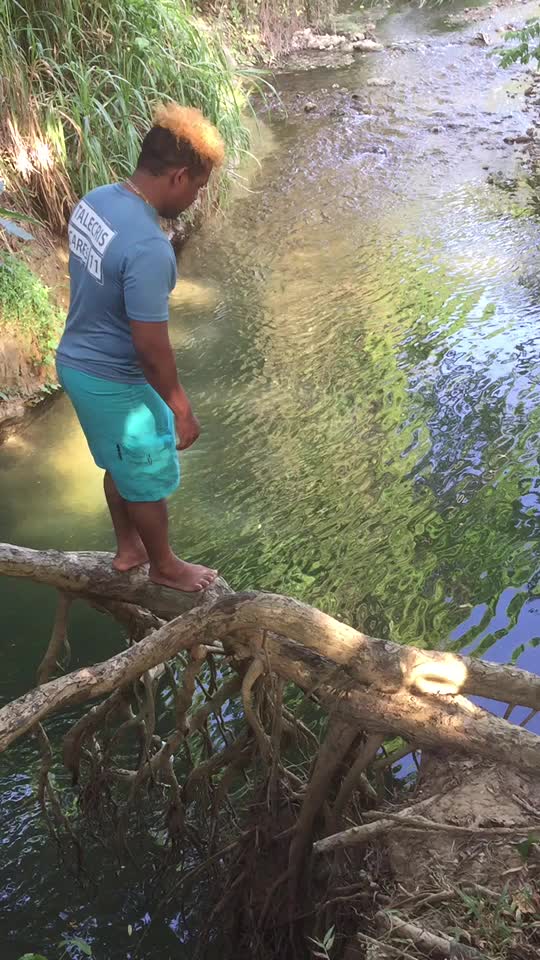 @Jochy Mena 🌴❤️💯...