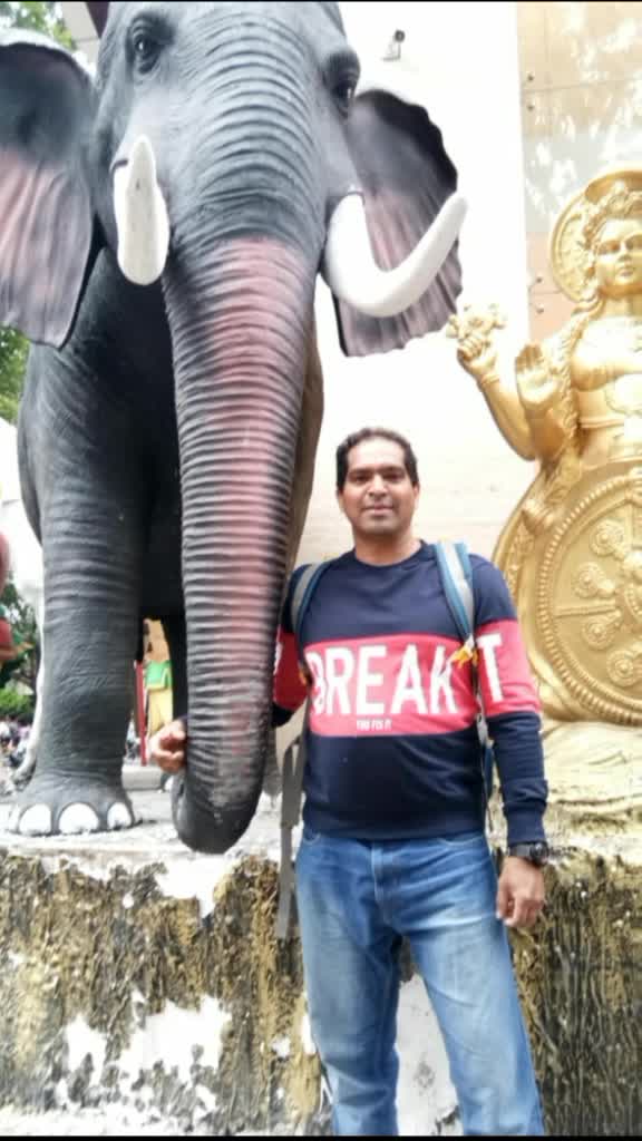@Dildev