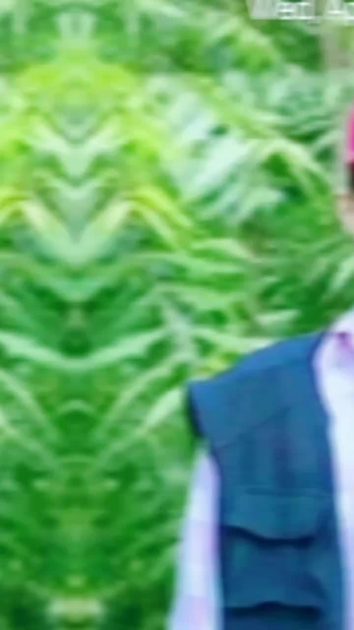 @sunderxttry12