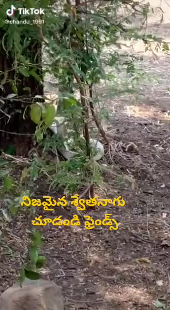 @Nallabothula Prasad