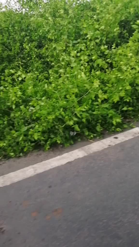 @@victor