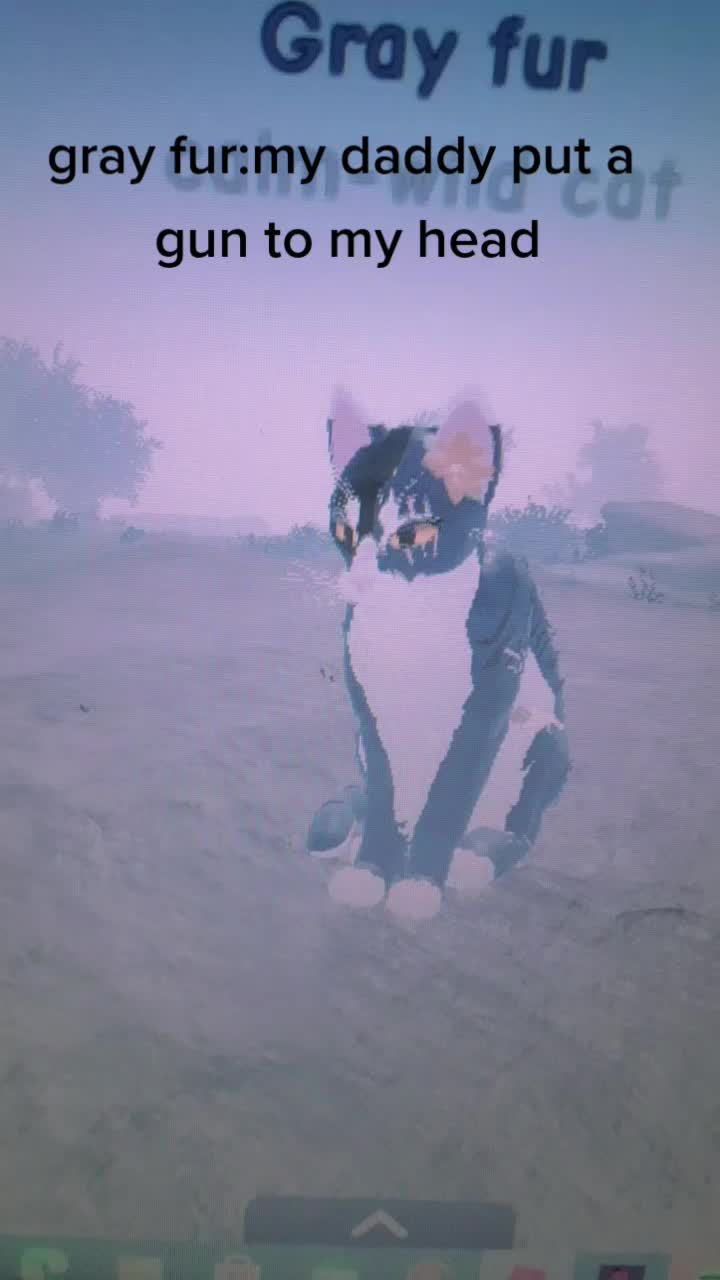 @warrior cats