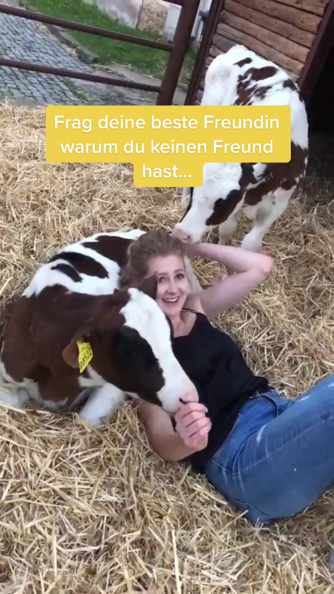 @Denise Kreppel