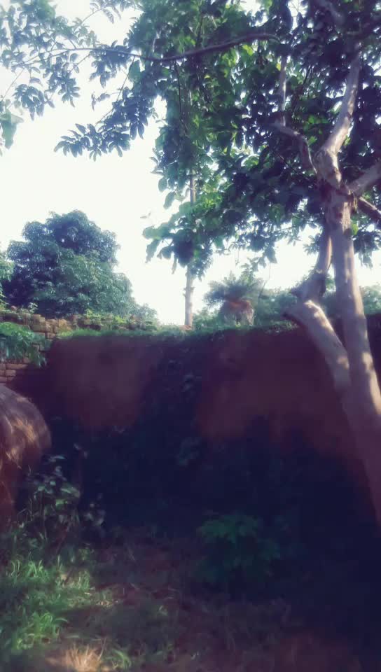 @Bikash kumar