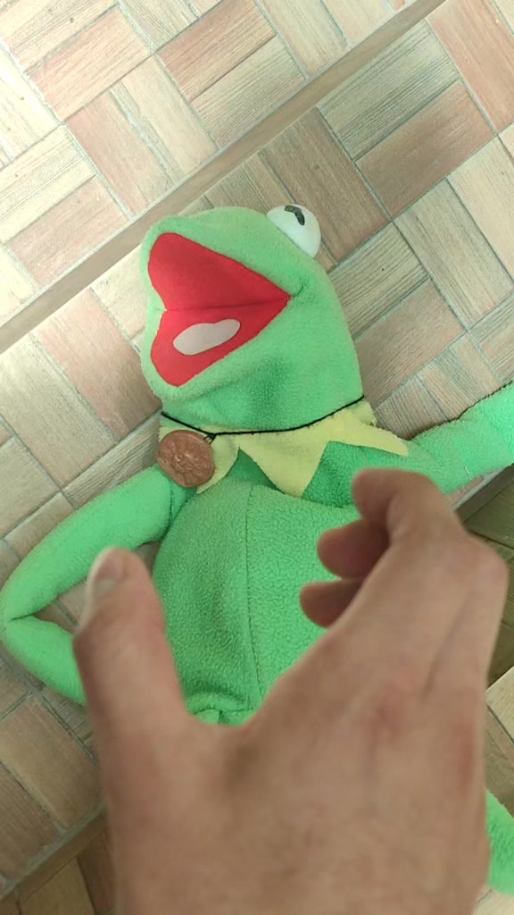 @RanitaAlva🐸