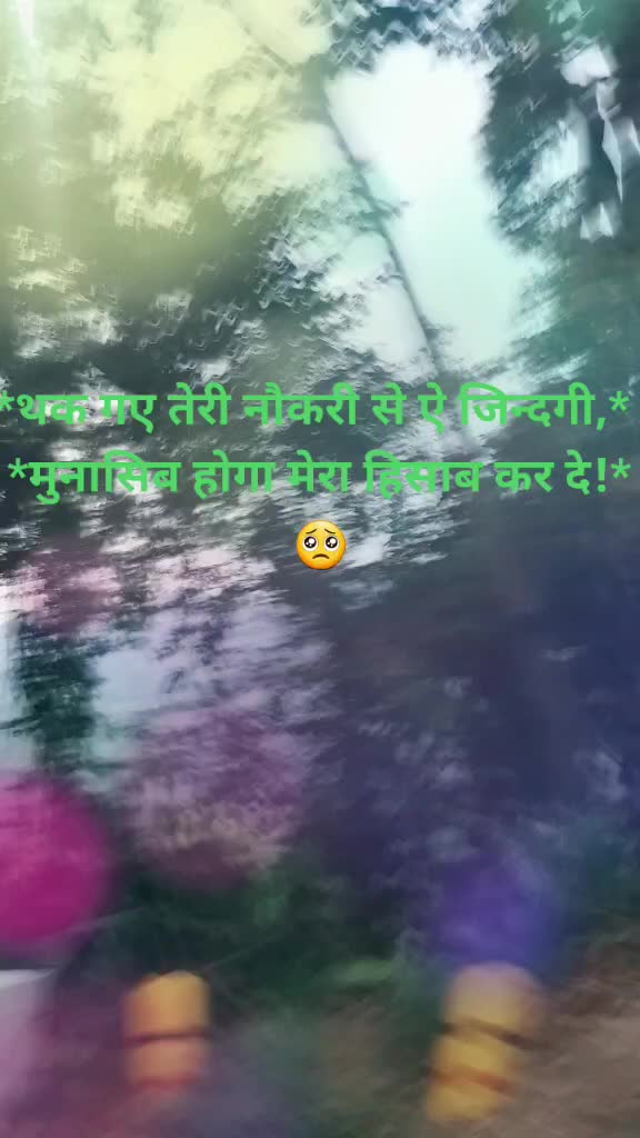 @@Sweet shine