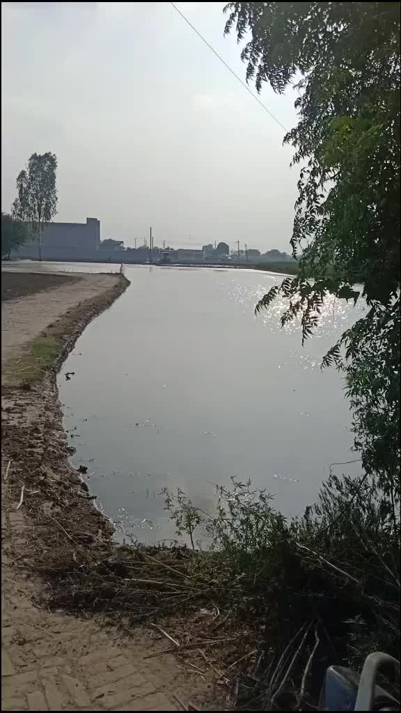 @Sukhdeep Singh Kular