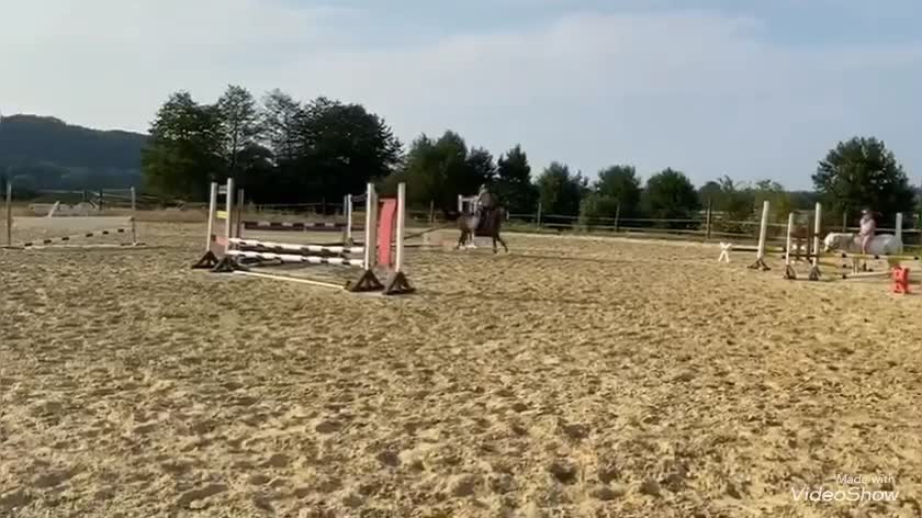 @Dressurpony🐴