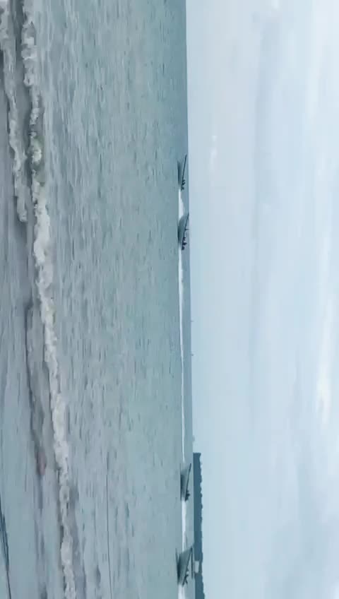 @treversonmartinez