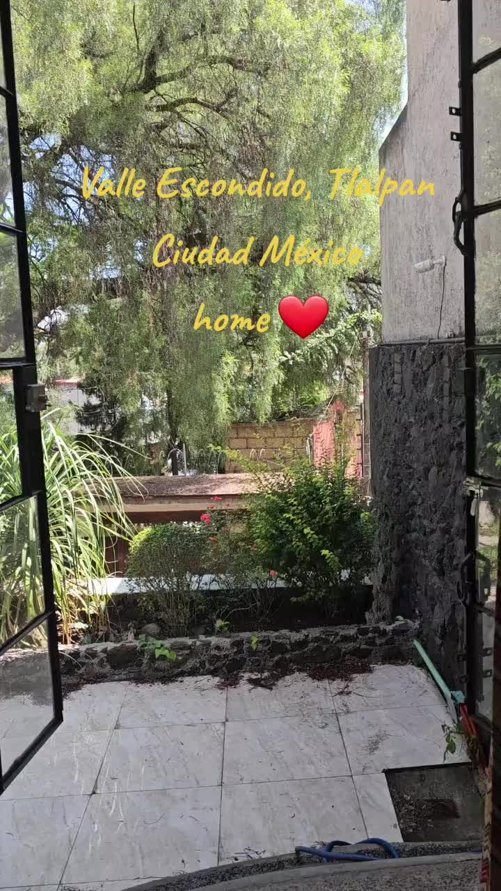@Maria Estrada Valenzuela