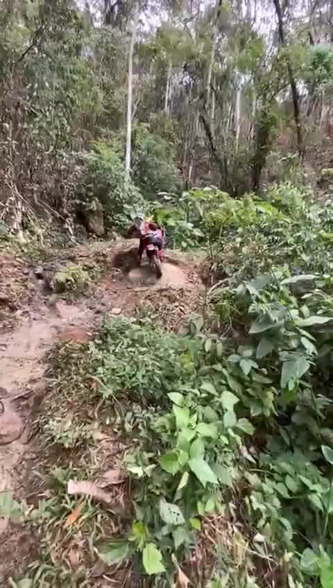 @Eduardo 2026