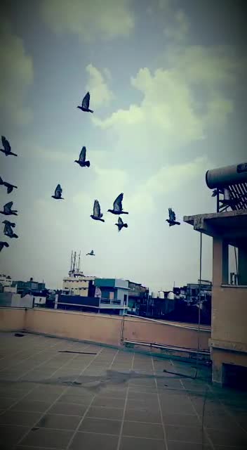 @Srishti Pathak 🎀