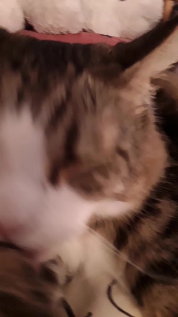 @Myrtille