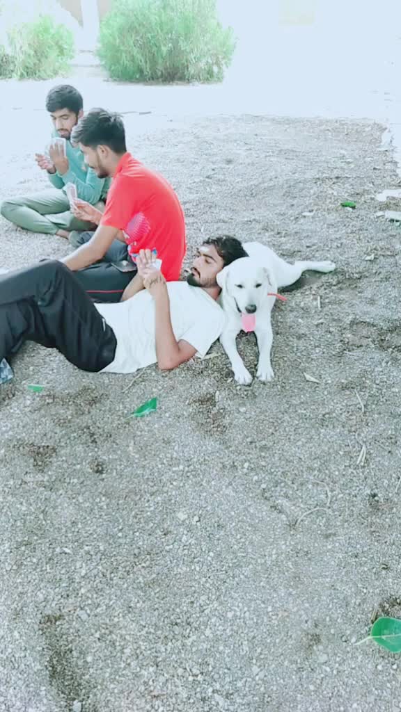 @narendrasinhji__1