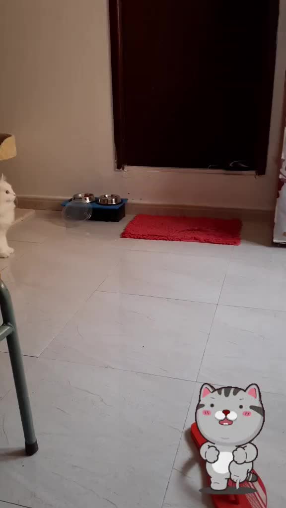 @SikongSimongChikong