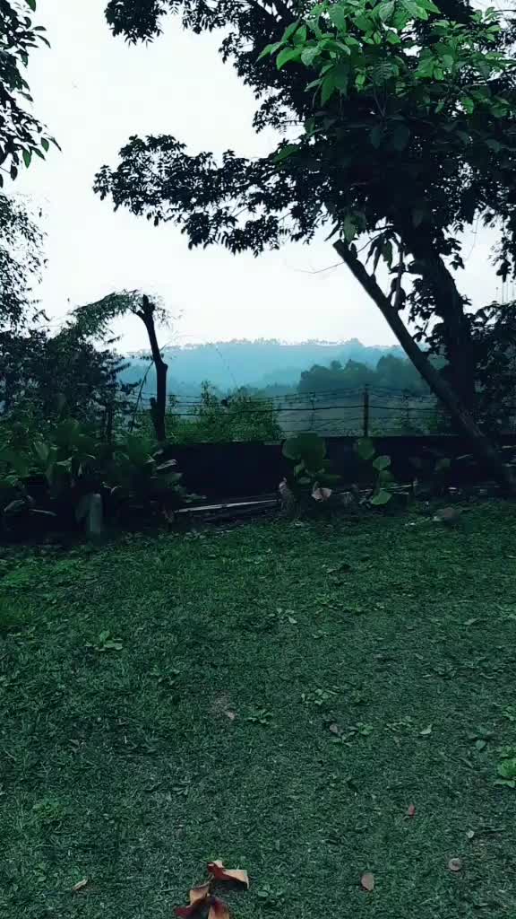 @ima srikandi perak💫 STAR 💫