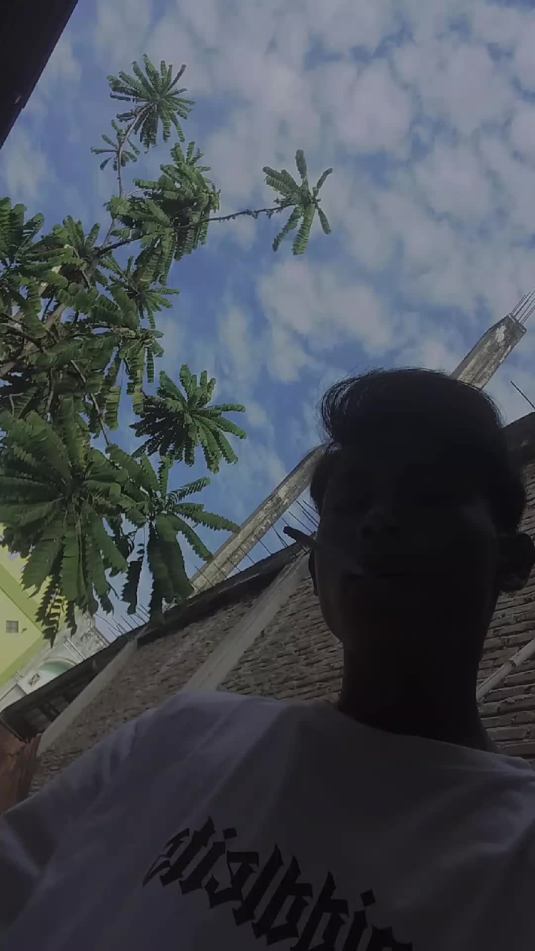@xylwil