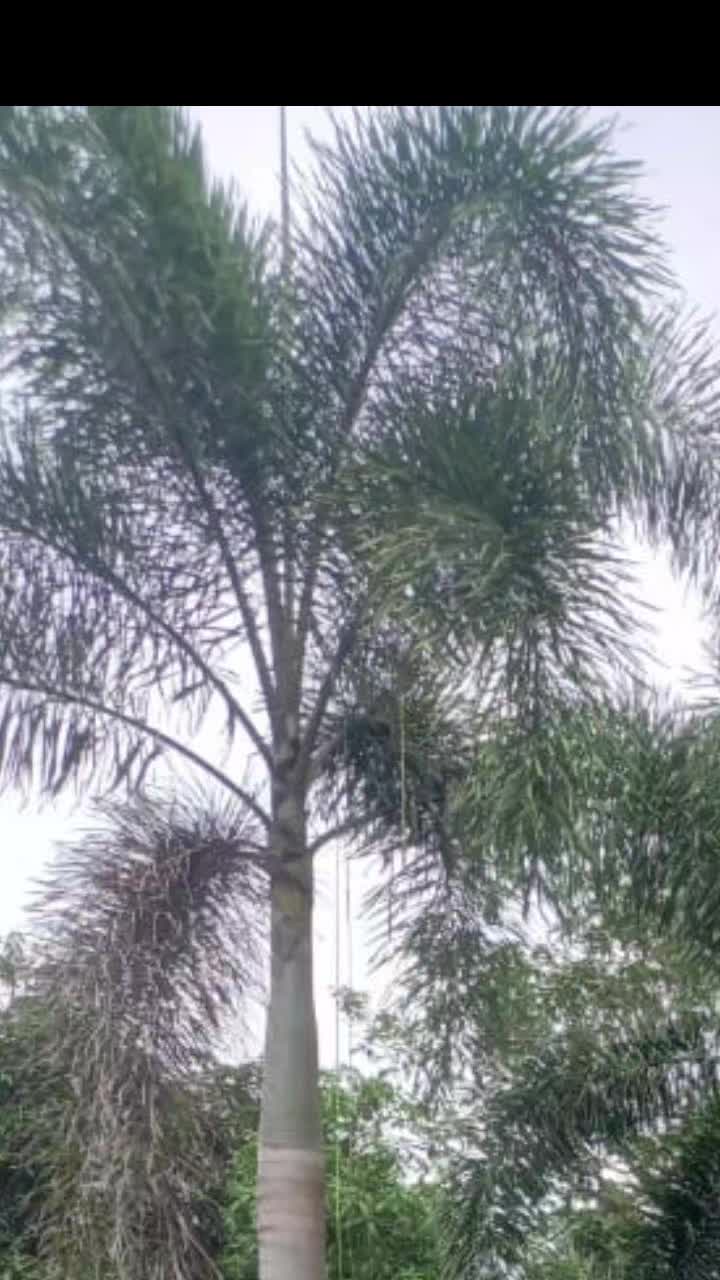 @madurupasinghe3