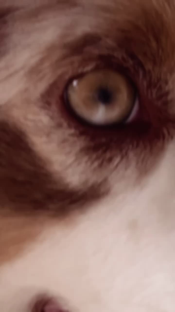@;