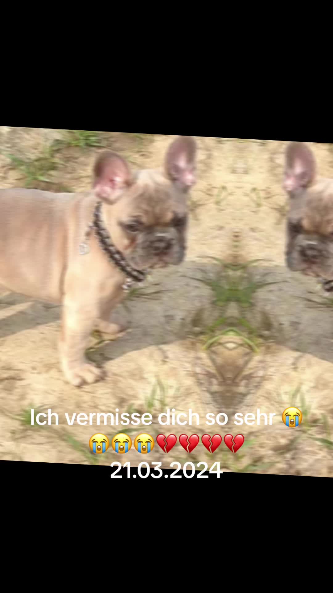 @Raffaella__84