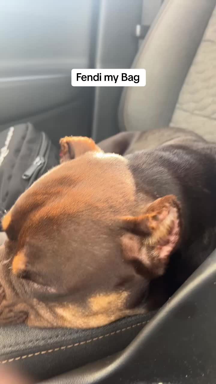 @pondsfreddy