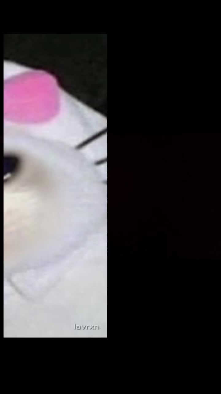 @๐๐คูญ*banana_catunne*ูญ๐ค๐ง