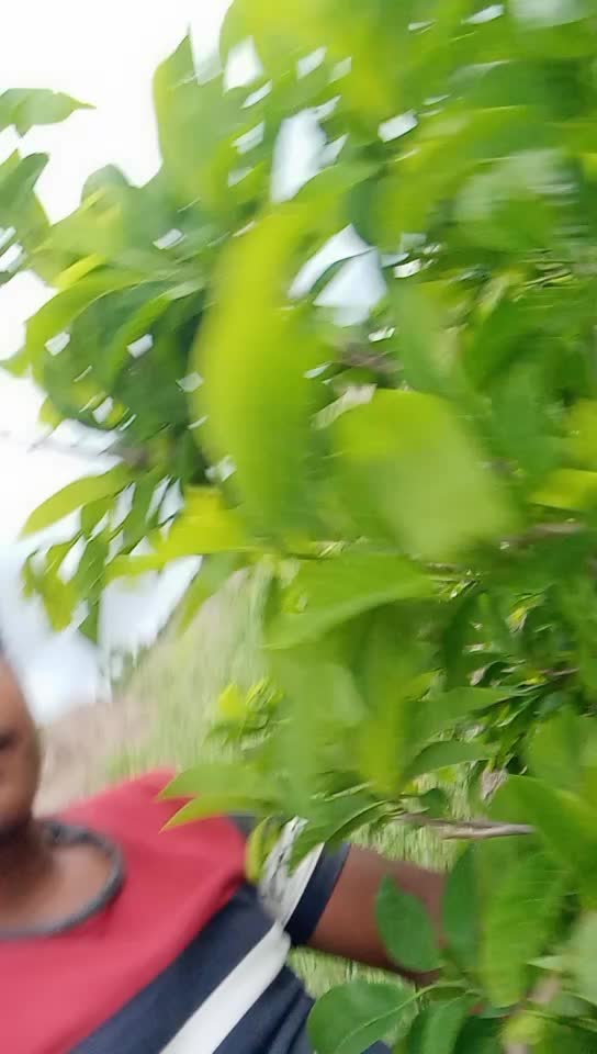 @user04028296087