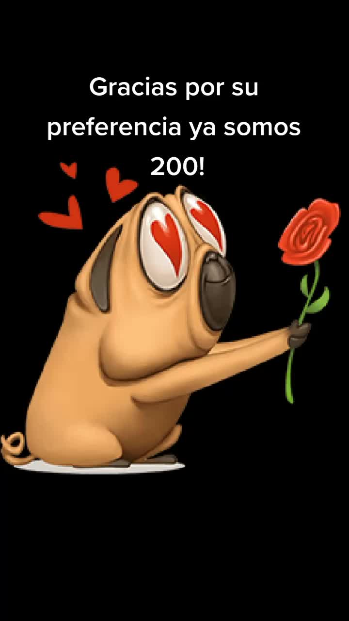 @Norka Elizabeth The Pug