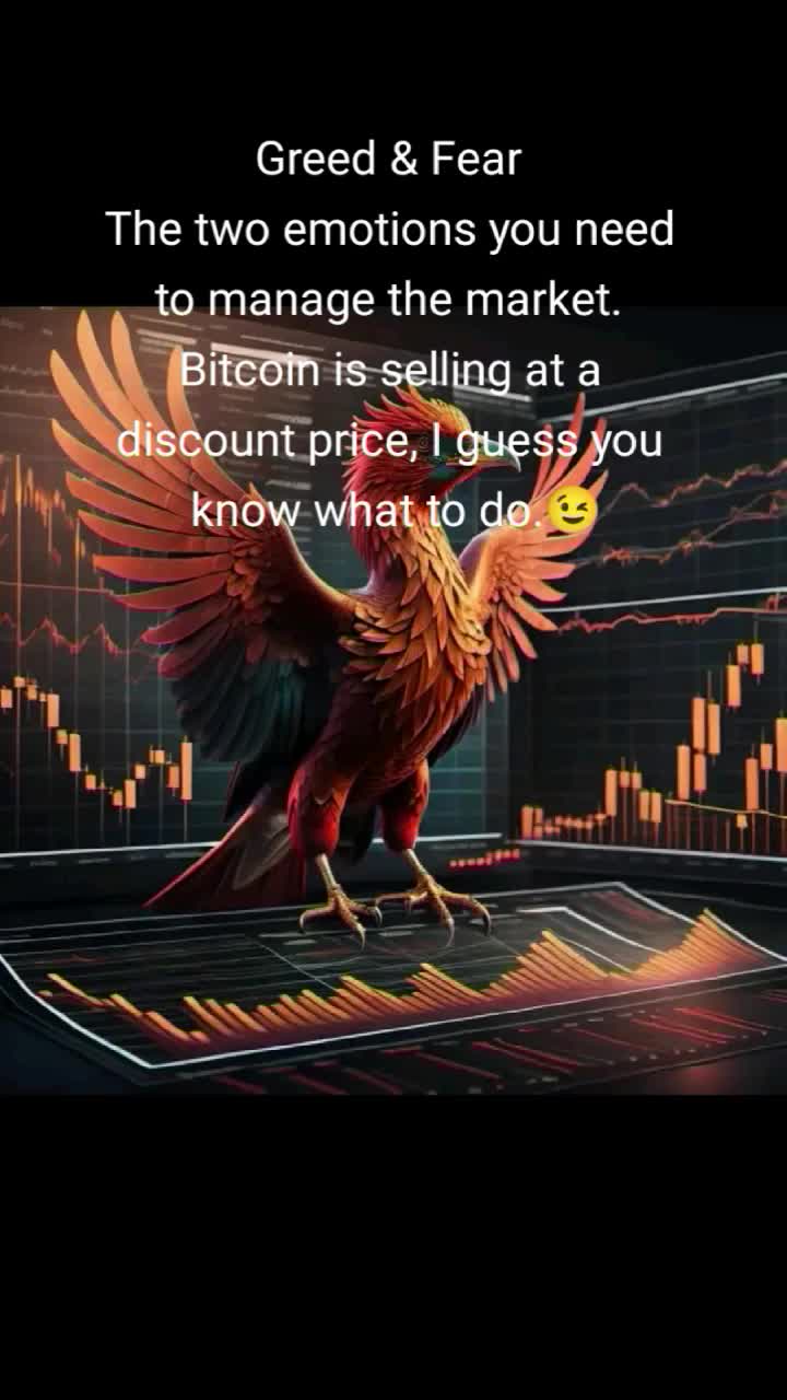 @Shine The Trader