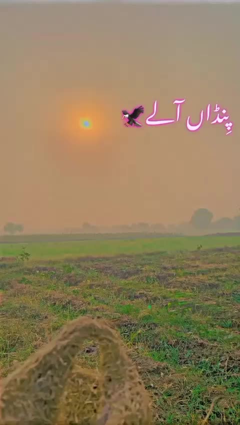 @پینڈومنڈا🦅🥷🏻