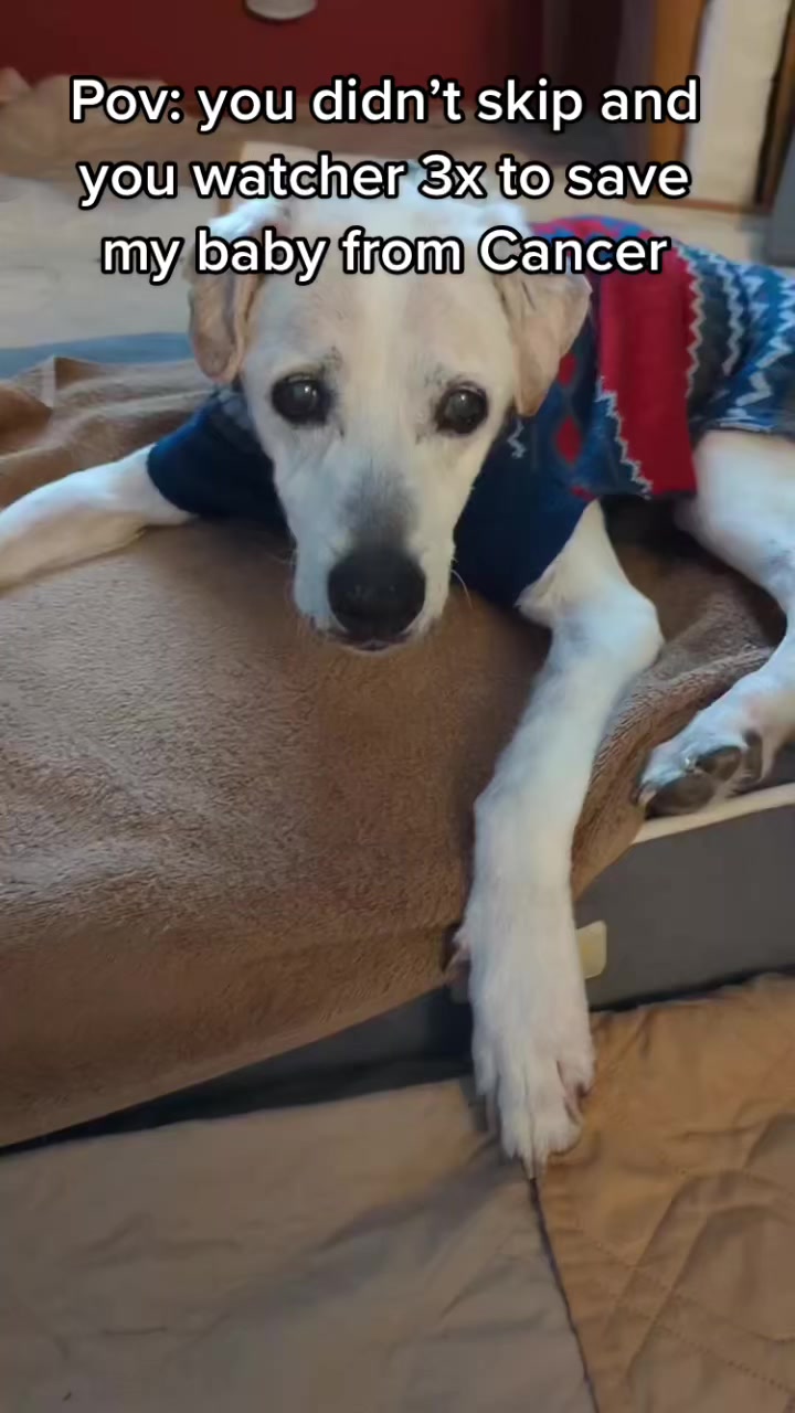 @PrayForCooper