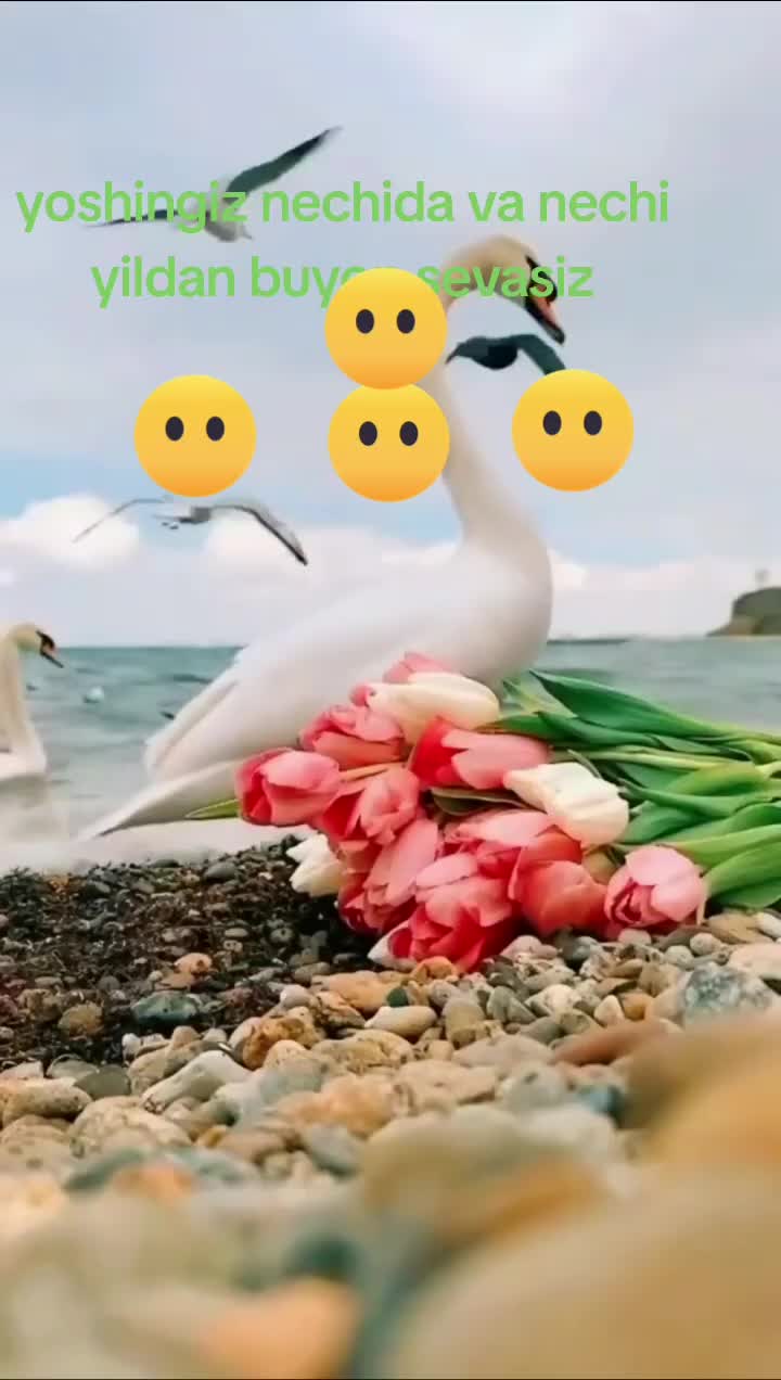 @MXX . 92 .0