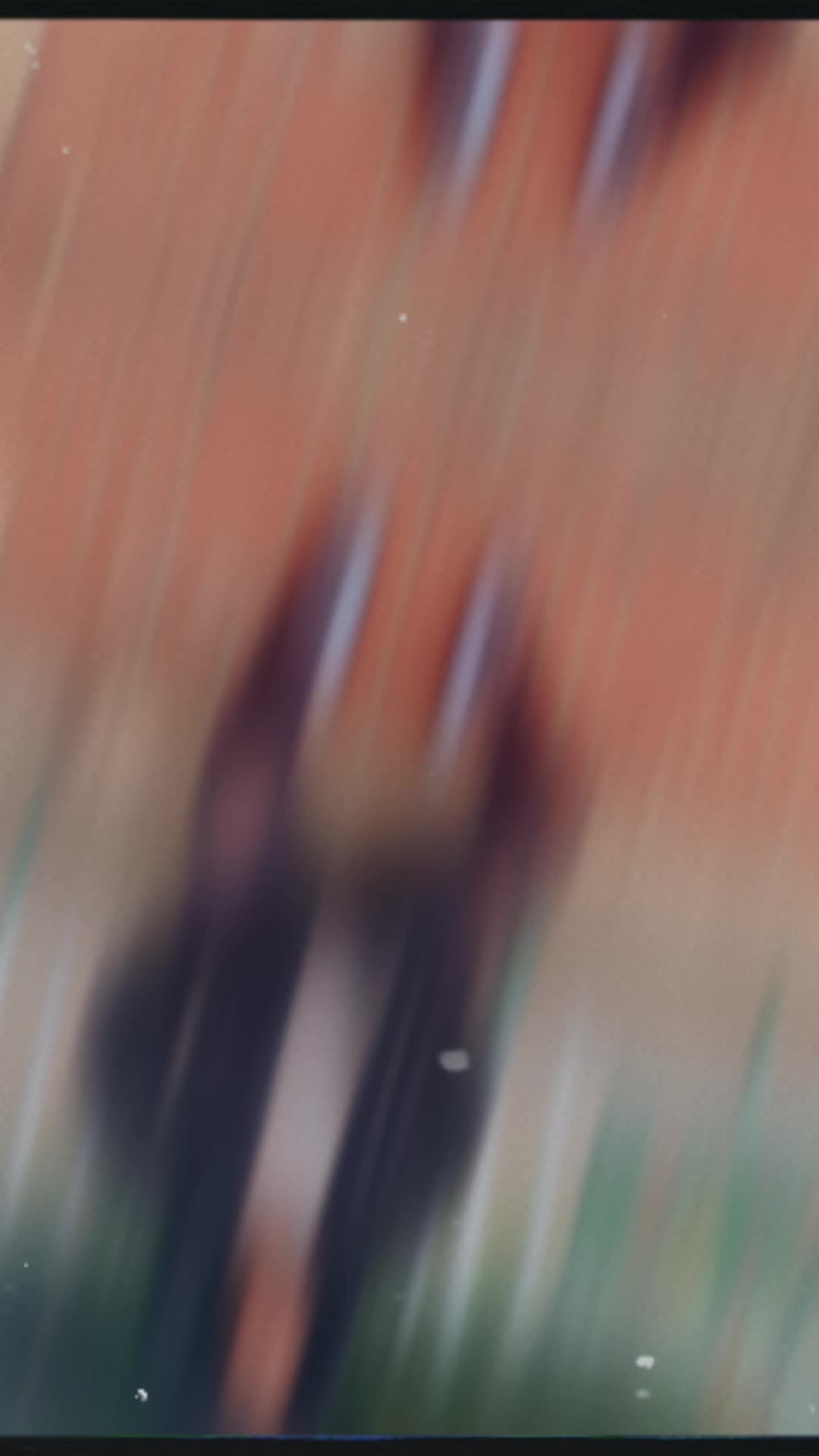 @🦋Febu🦋