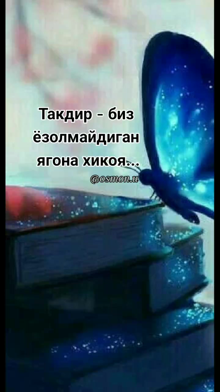 @Океан