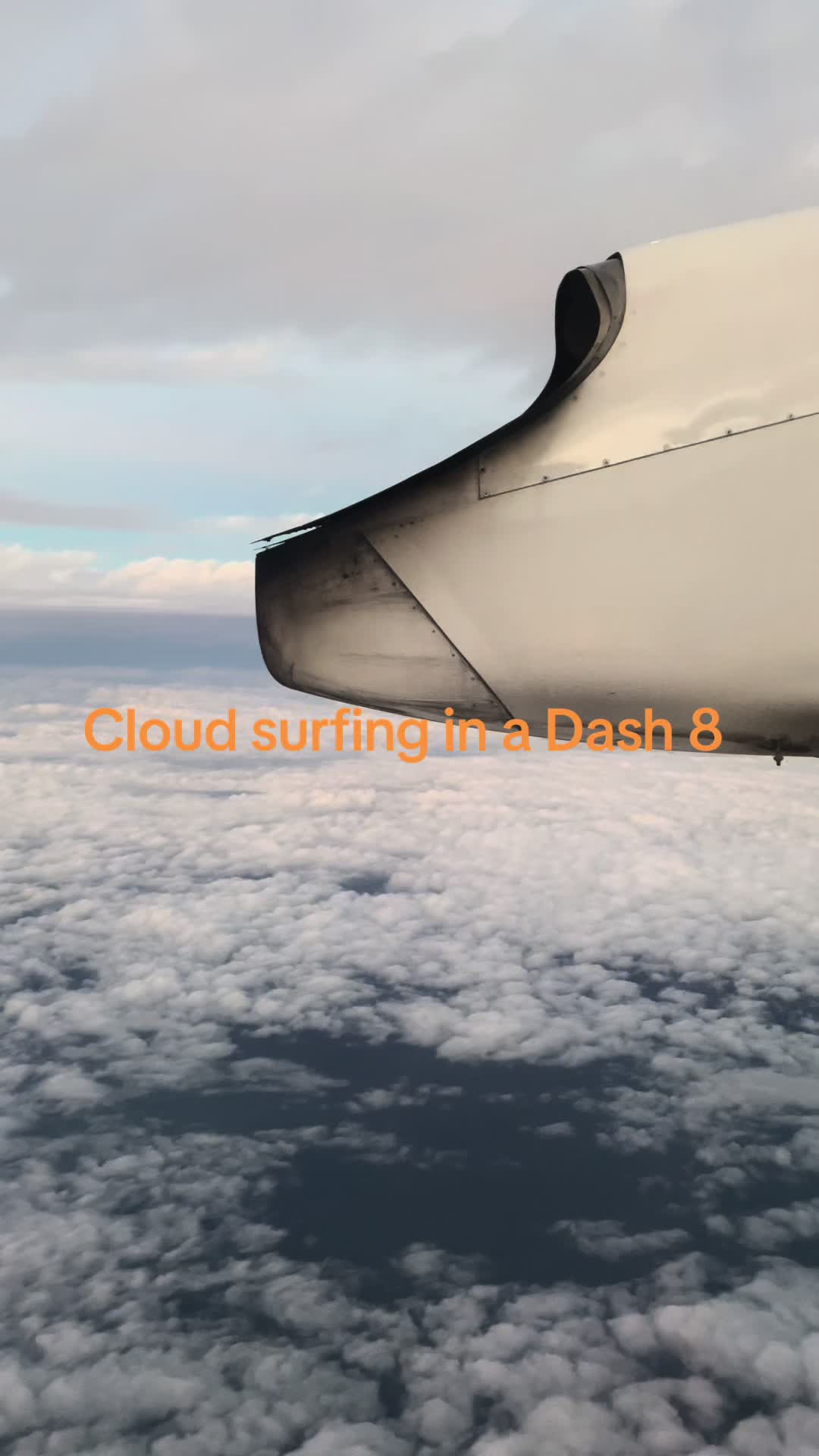 @benji_and_the_Jets737