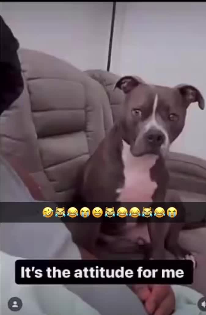 @my favorite videos