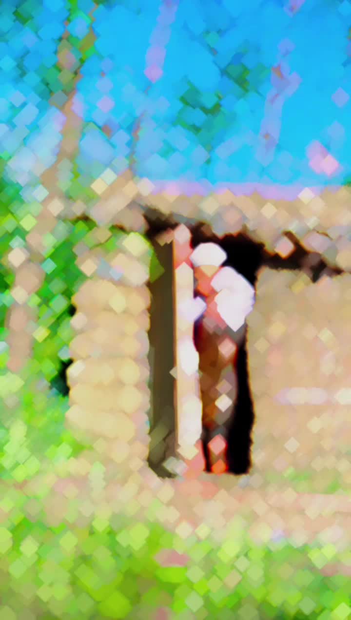 @𝄡•|•S P قلندر•|•𝄡🩹