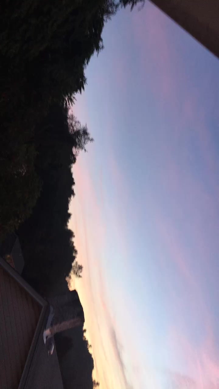 @dsfgffdh1