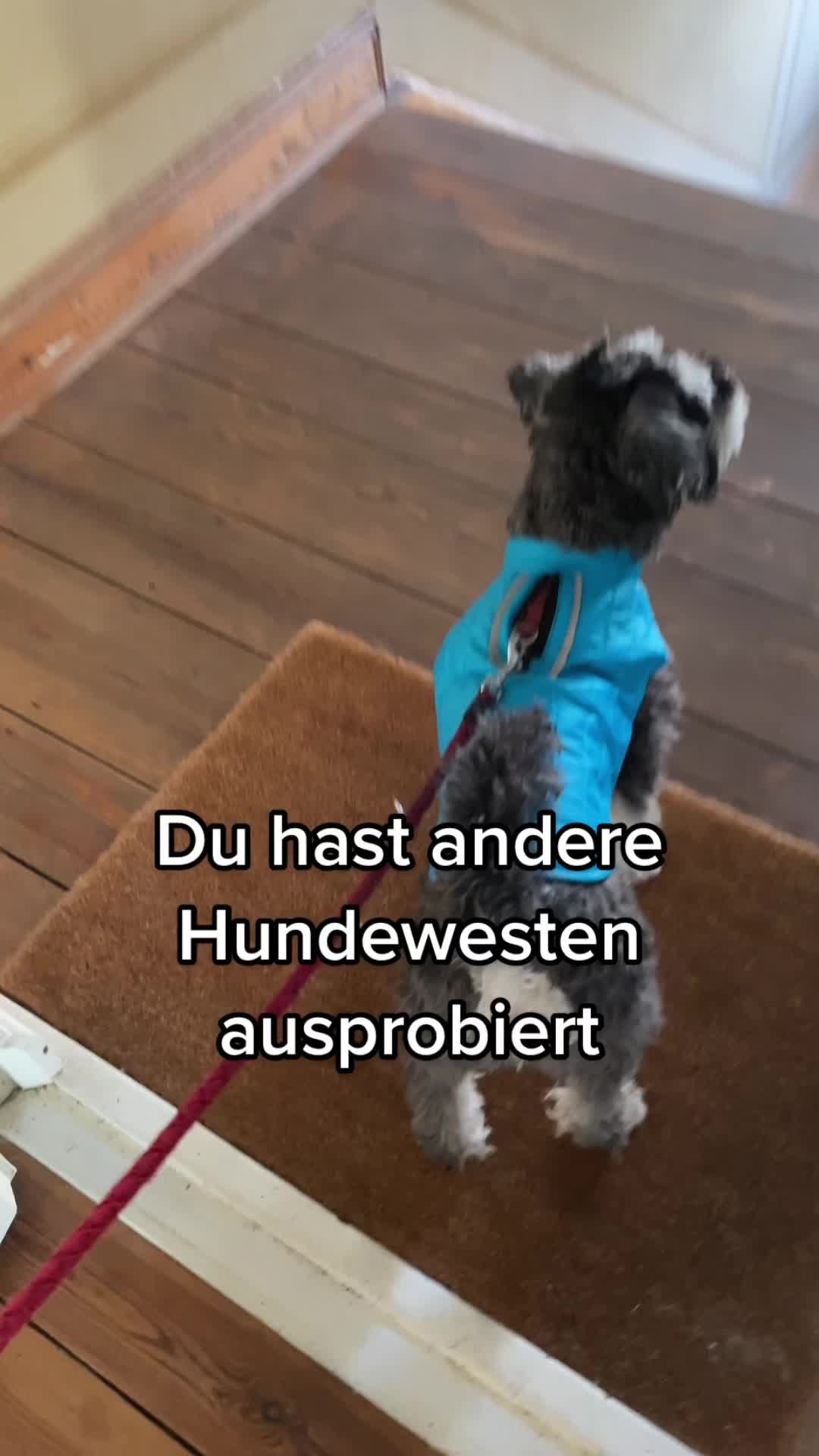 @Emmalove-DE
