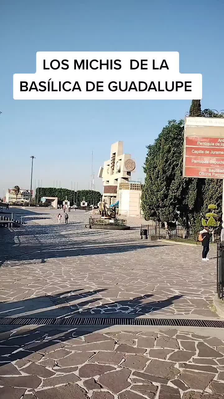@Alicia