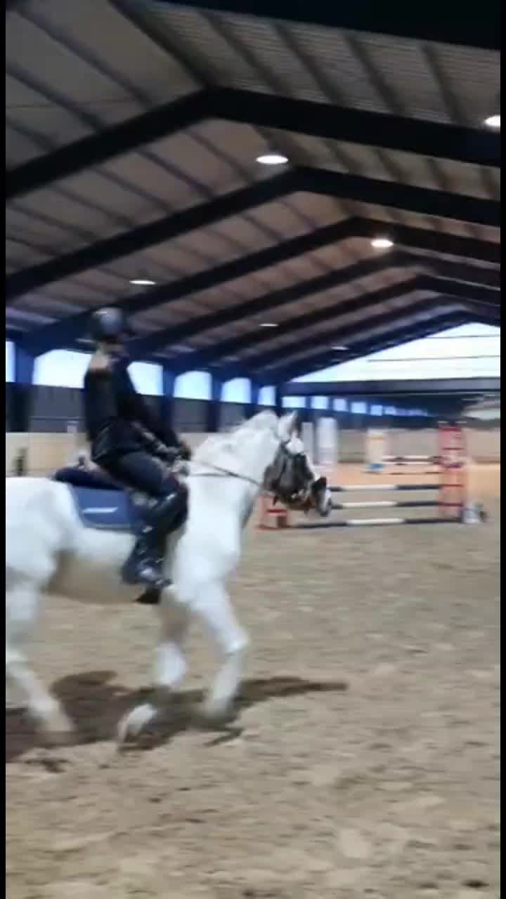 @Följer tbx 110%❤️