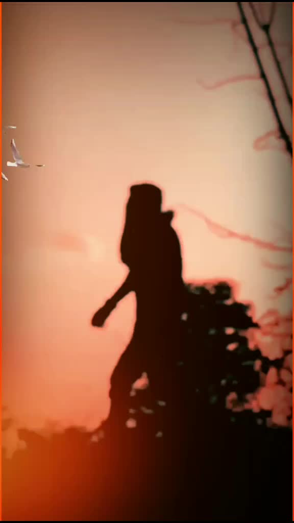 @Rishi kumar