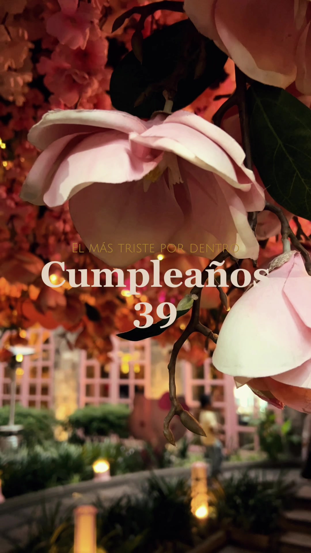 @Bere ☁️ Divino México