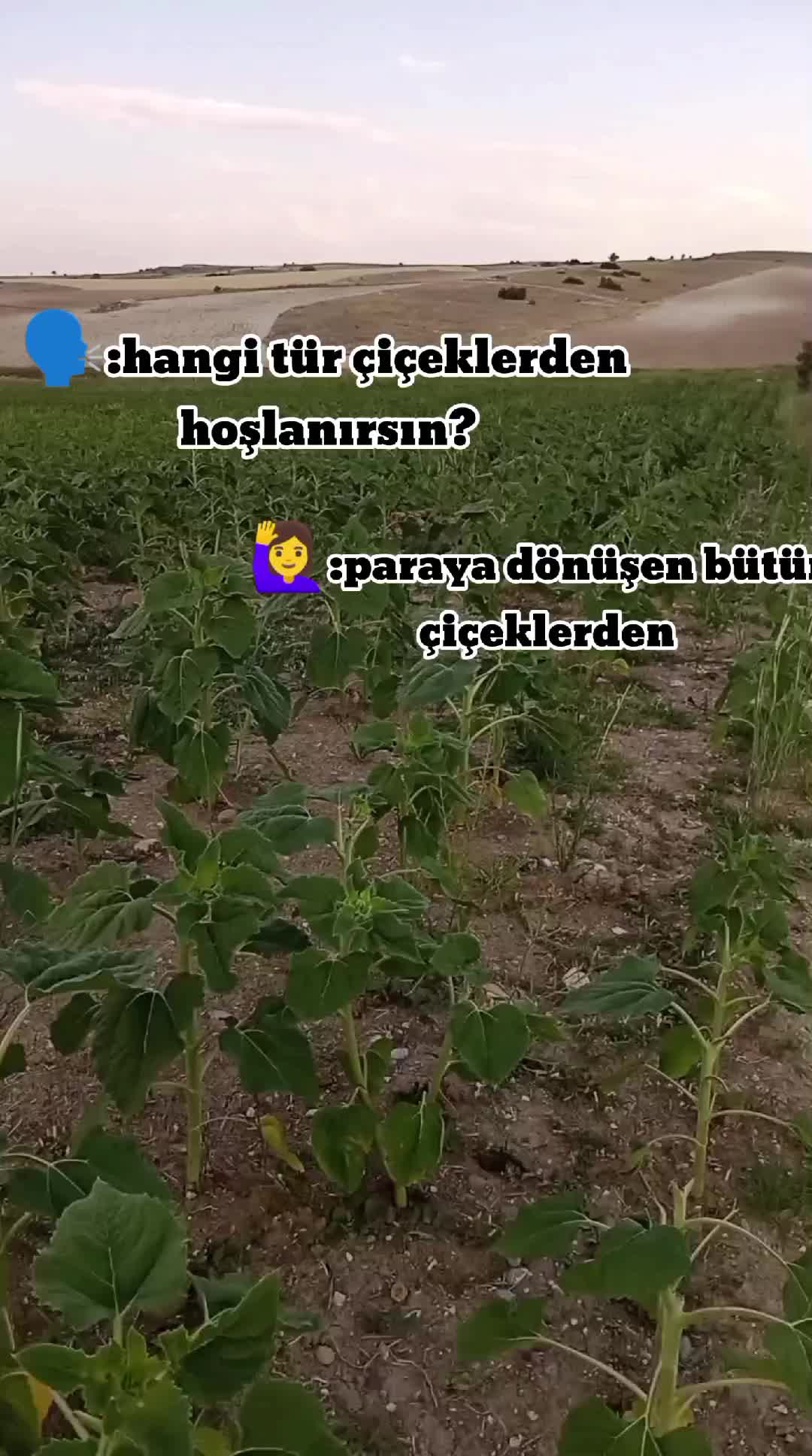 @Ayşe nur
