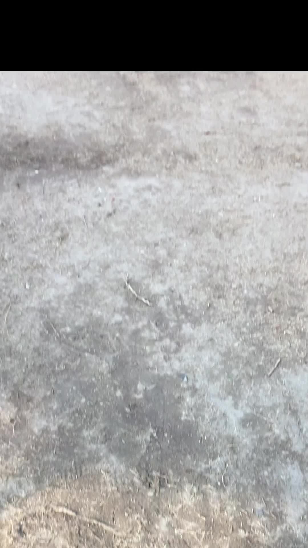 @নাটোরের মানুষ