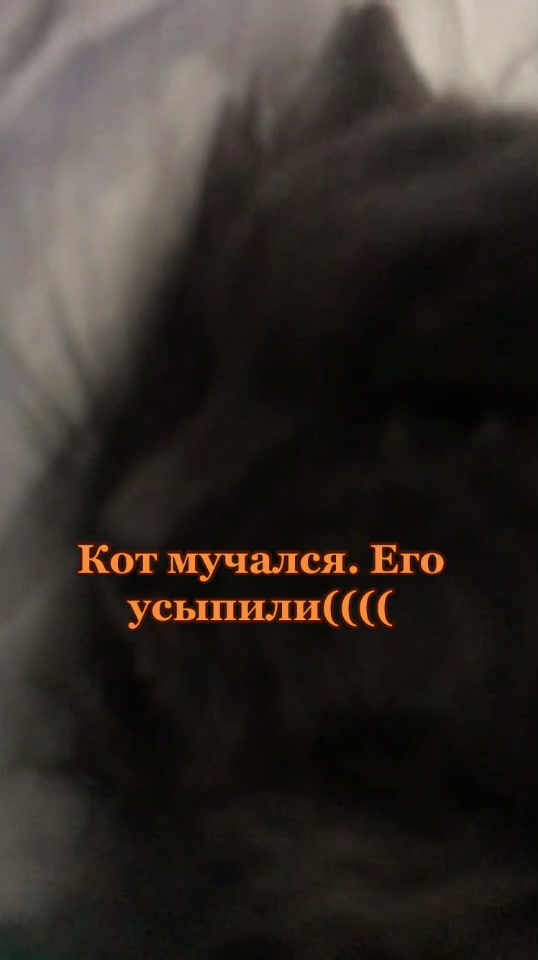 @artem_smurom