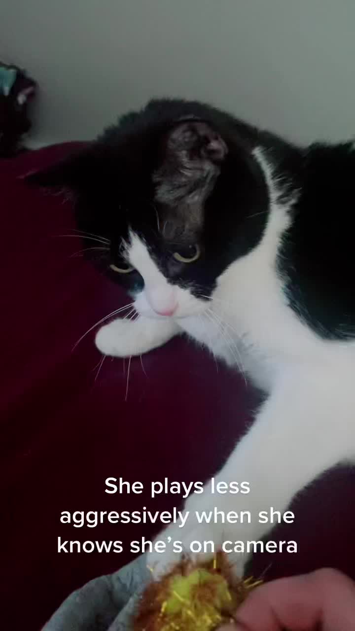 @CharredFlapjack