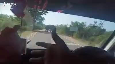 @Lalu Lalu